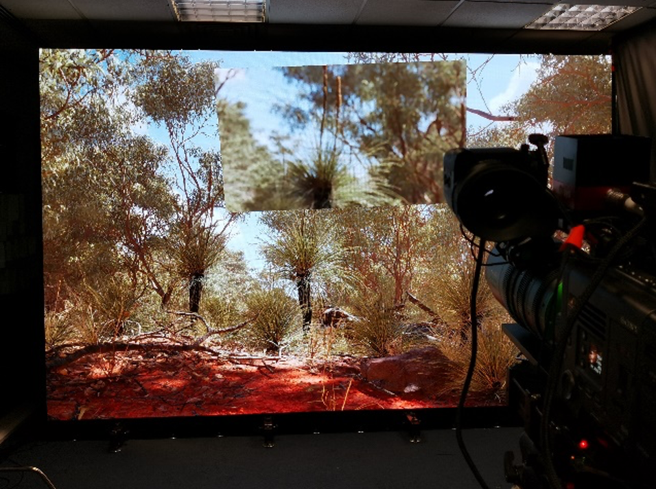 Camera frustrum tracked